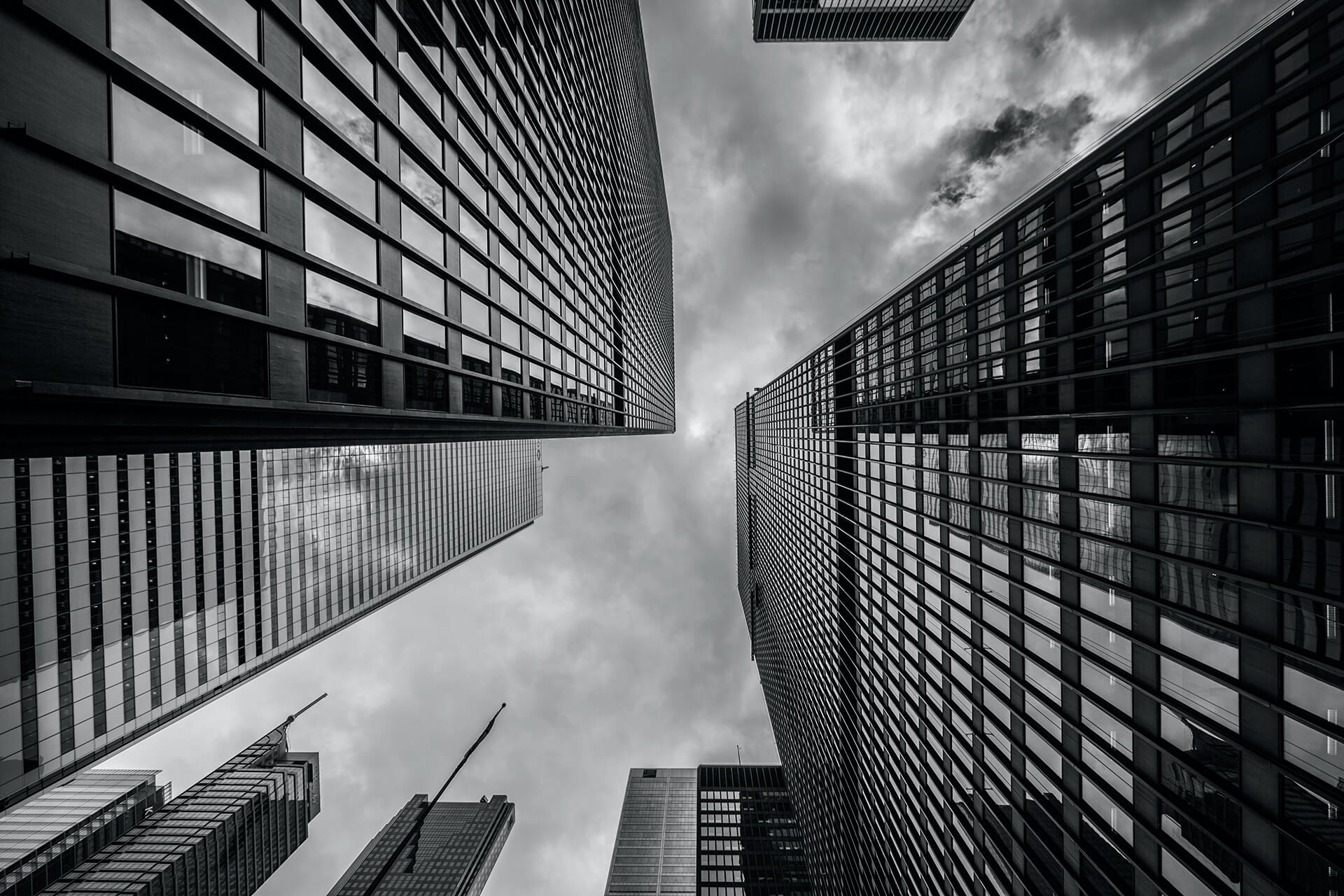 Kiya and Associates Law Office - Client Testimonials